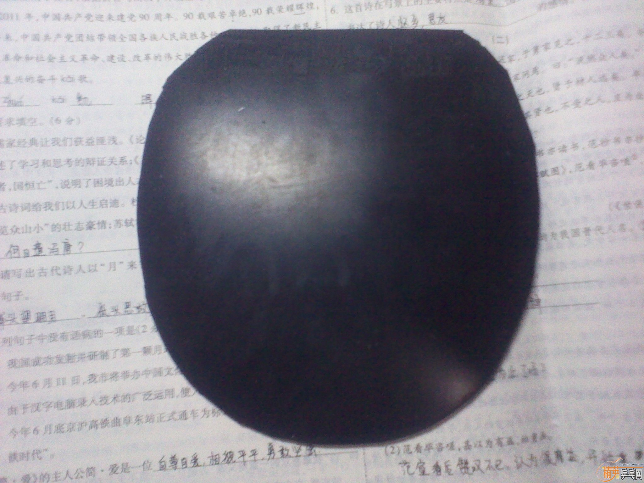 С�����������������zap�����������ˣ���