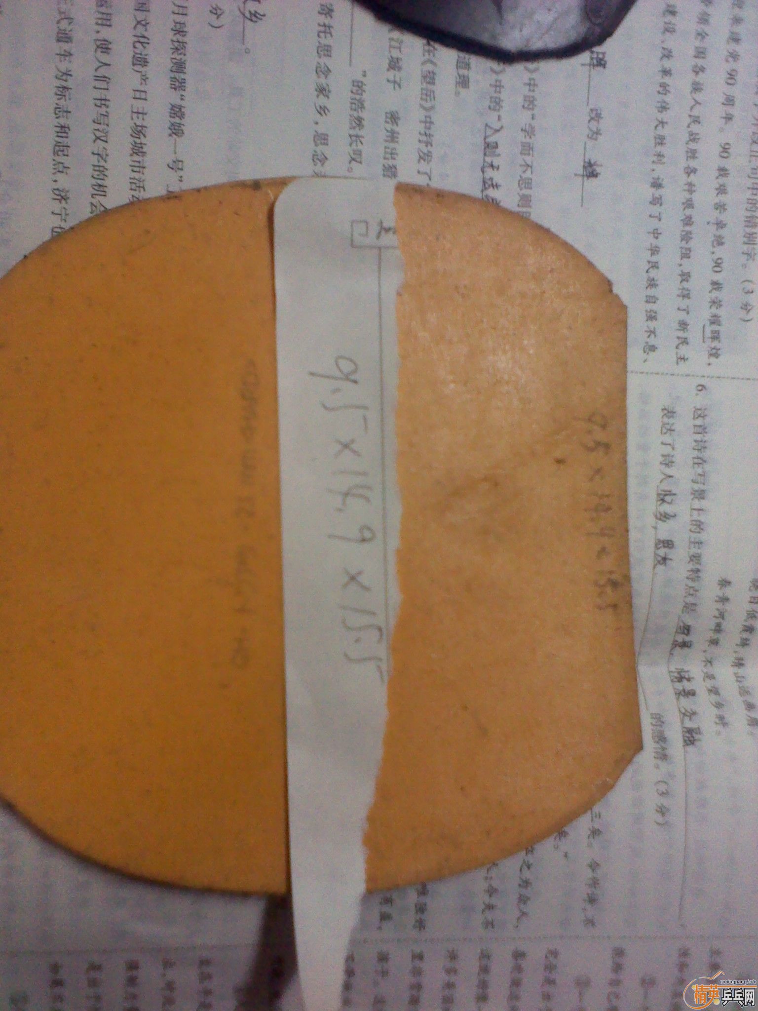 С�����������������zap�����������ˣ���