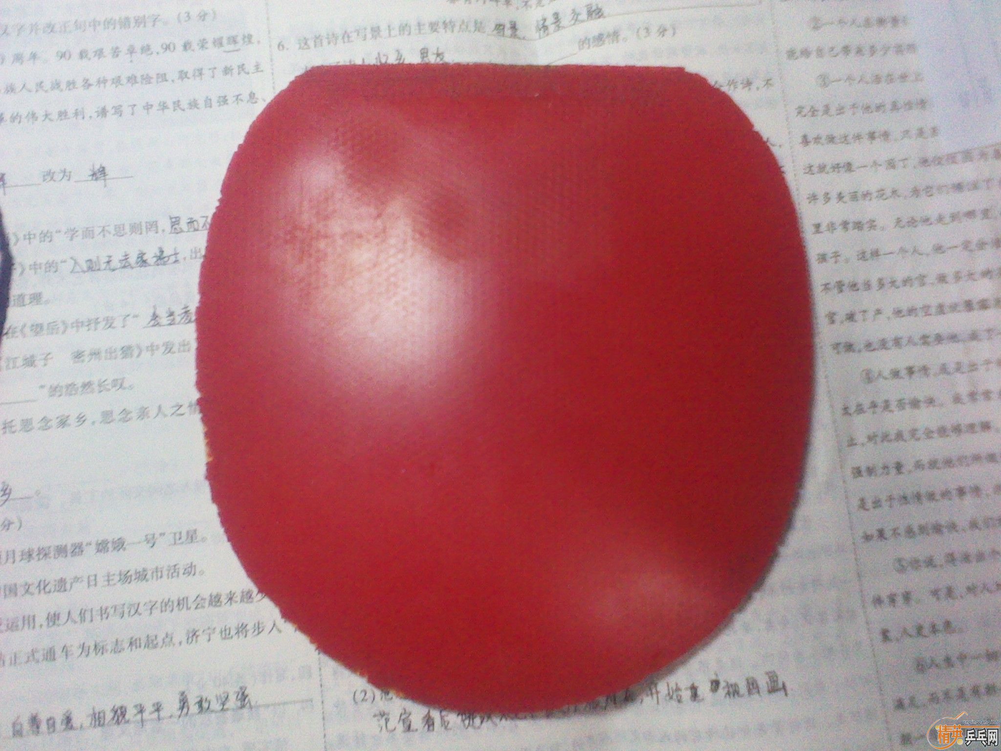 С�����������������zap�����������ˣ���