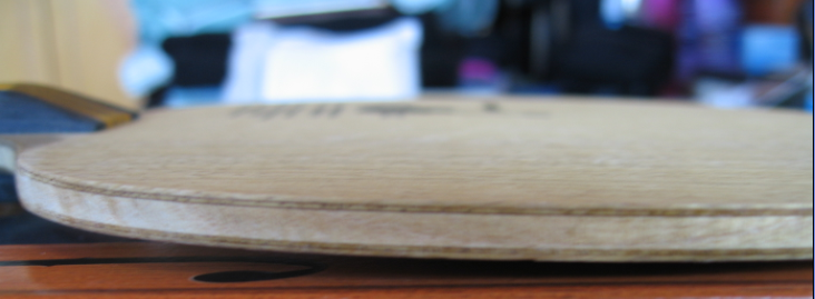 ��С���ٻ��߳��ձ����ص�������ľ����