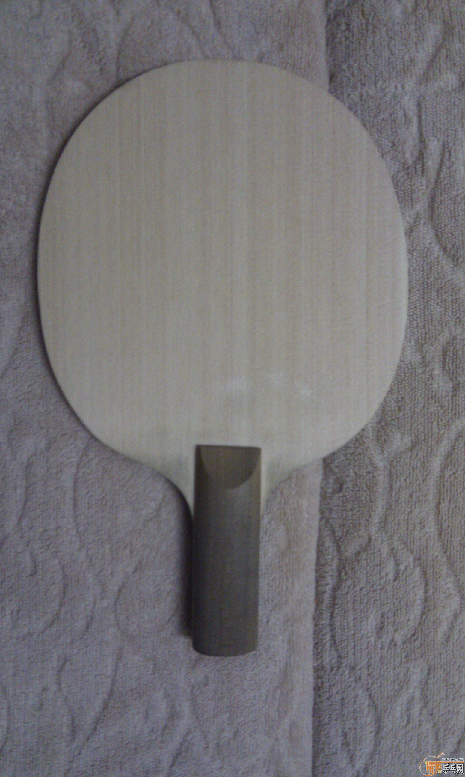 ƹ������