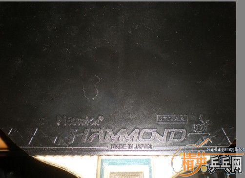 ����ֱ�������20060 ����NEO�켫3 ��������