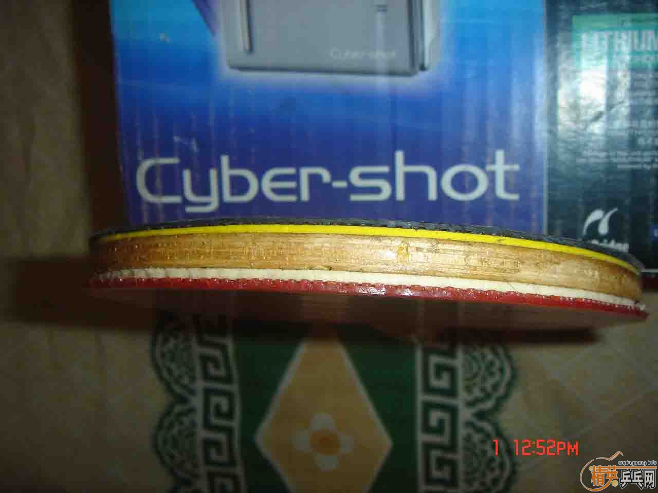 ֧����25���������ľ�װ������