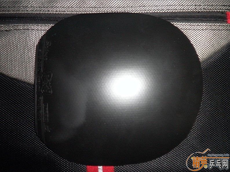 ����������ʵ����л�����OC����ͬƷ��80�˵���CL