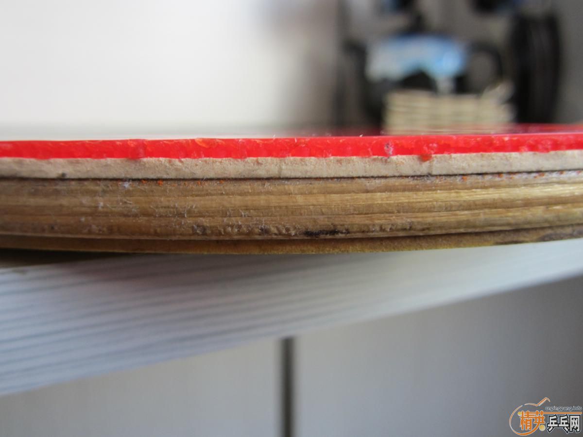 ��ʮ������ڵ��Ϻ�˫ϲ���� ���˸���Ȥ��