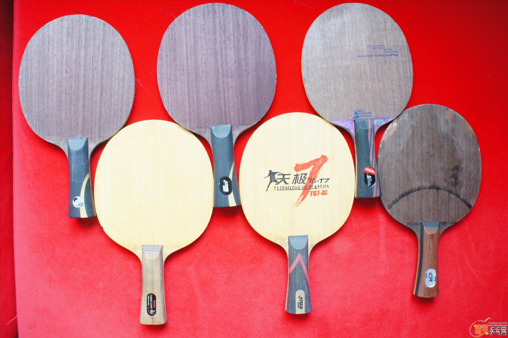 �������ƴ��� ���������  ��oc   ����oc �켫 һ��ѽ�Ƥ������������