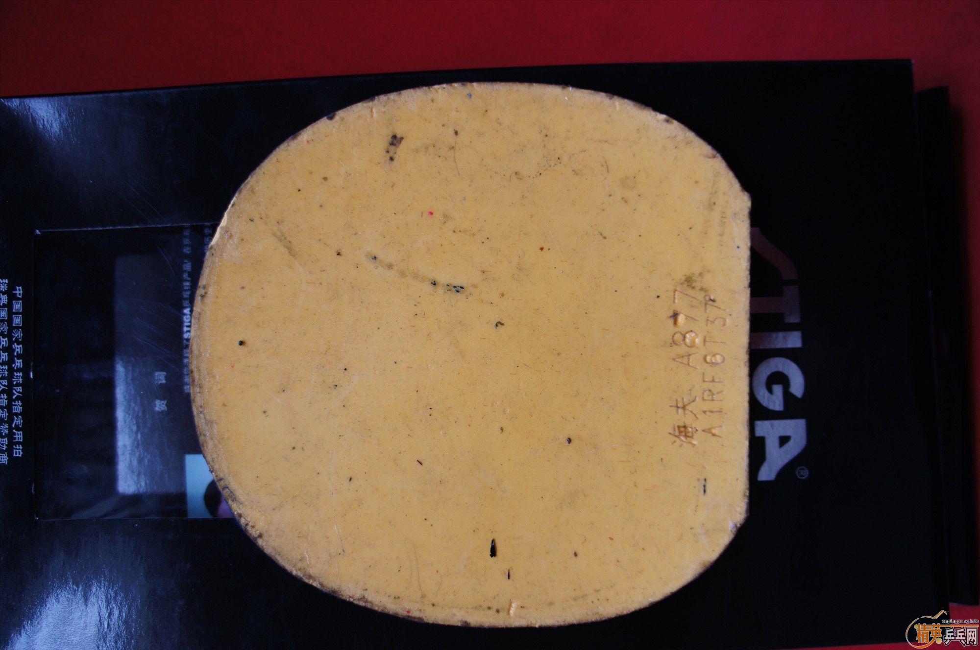 �������ƴ��� ���������  ��oc   ����oc �켫 һ��ѽ�Ƥ������������