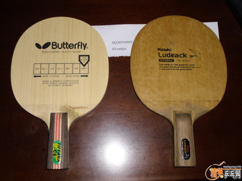 ���˽��º���Tiffaraֱ��,��ֻ���