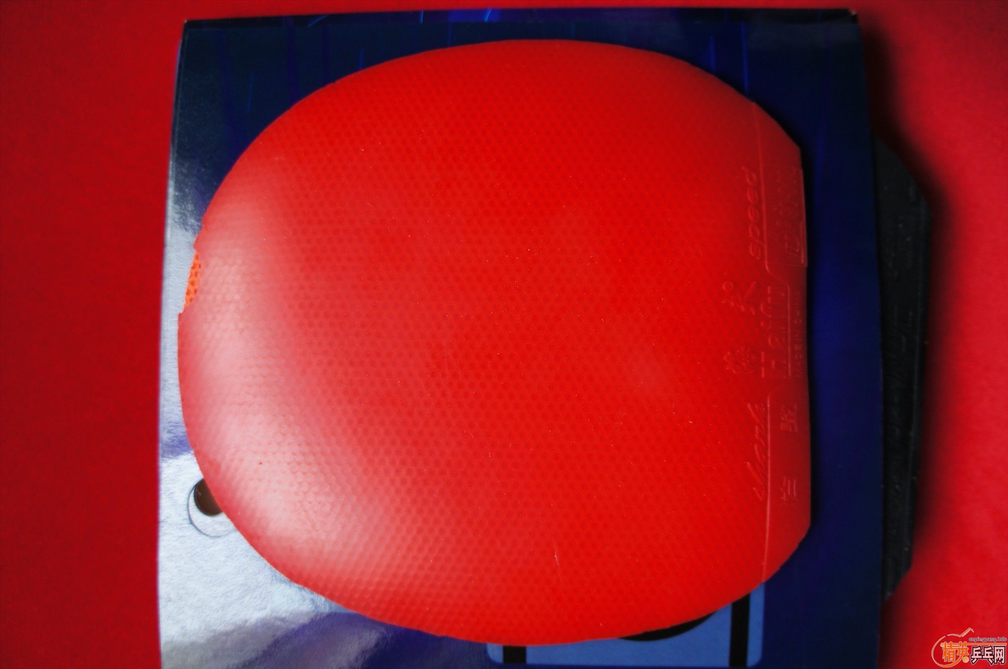 ���ѳ�һ��ѽ�Ƥ samba mendo  �����-->qupiterת��