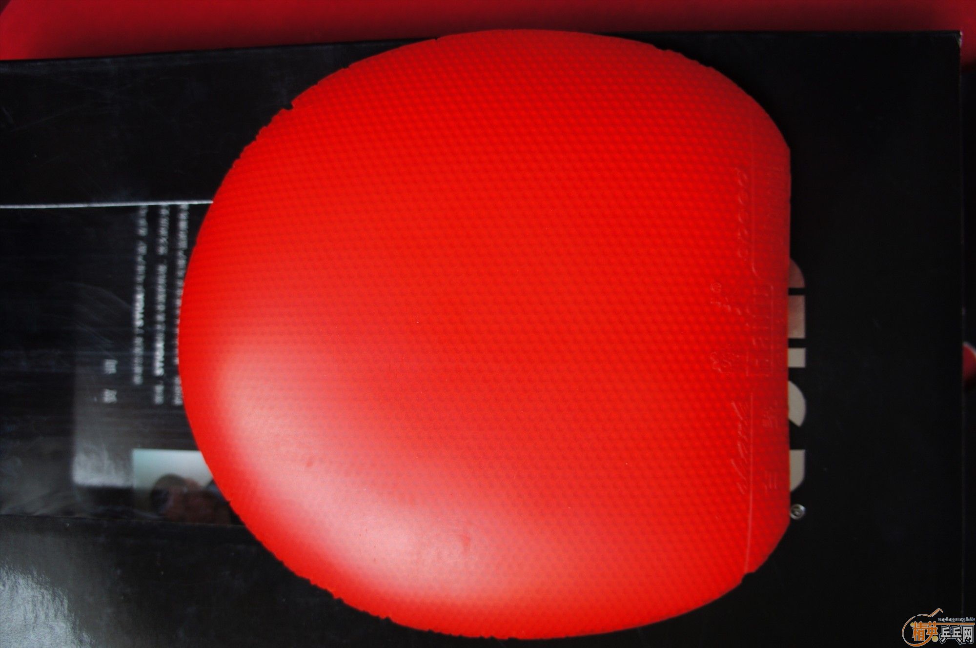 ���ѳ�һ��ѽ�Ƥ samba mendo  �����-->qupiterת��