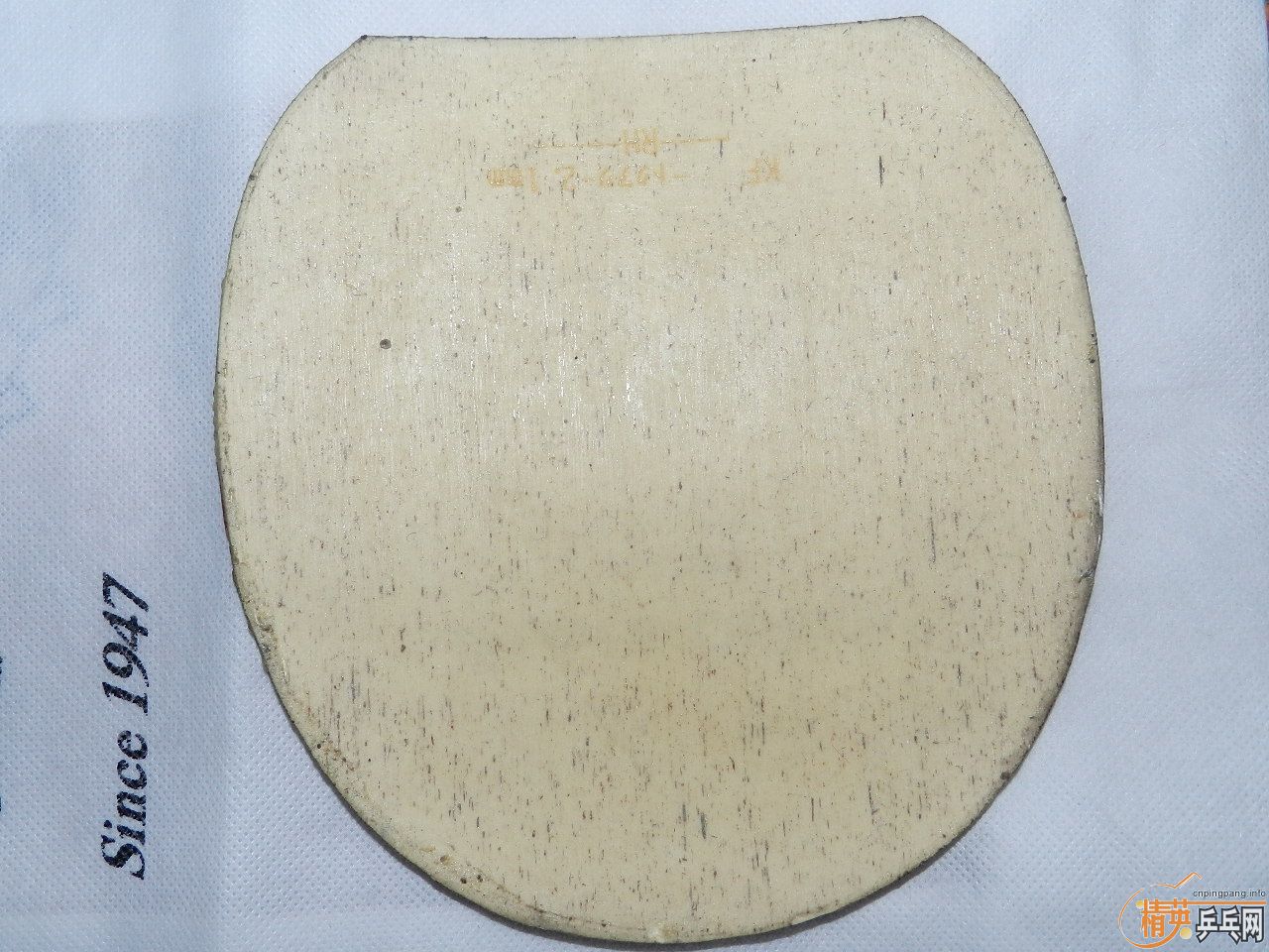 ��ȫ�����꣬��̯��лл��ע�����ѳ�99��zlc�ͼ�������-->qupiterת��