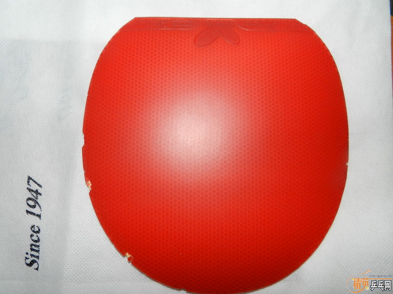 ��ȫ�����꣬��̯��лл��ע�����ѳ�99��zlc�ͼ�������-->qupiterת��