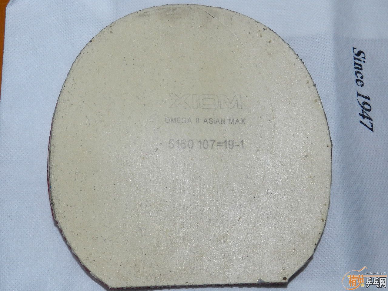 ��ȫ�����꣬��̯��лл��ע�����ѳ�99��zlc�ͼ�������-->qupiterת��