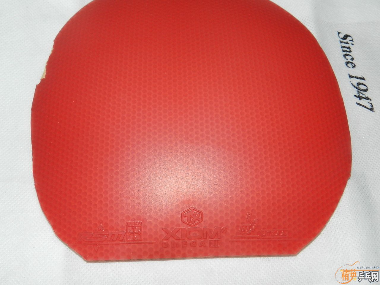 ��ȫ�����꣬��̯��лл��ע�����ѳ�99��zlc�ͼ�������-->qupiterת��