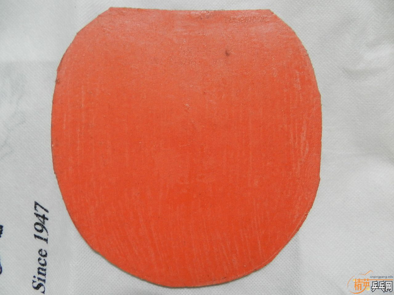 ��ȫ�����꣬��̯��лл��ע�����ѳ�99��zlc�ͼ�������-->qupiterת��