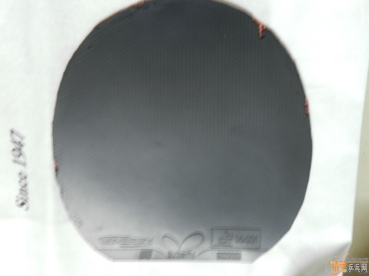 ��ȫ�����꣬��̯��лл��ע�����ѳ�99��zlc�ͼ�������-->qupiterת��