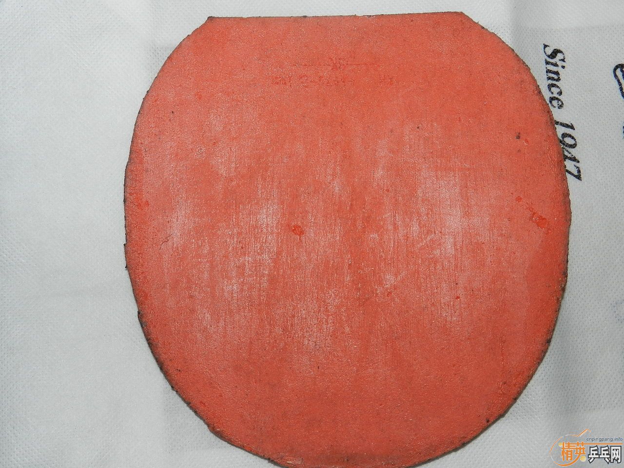 ��ȫ�����꣬��̯��лл��ע�����ѳ�99��zlc�ͼ�������-->qupiterת��