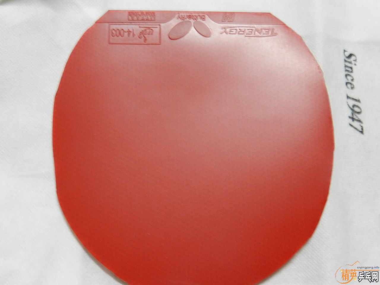 ��ȫ�����꣬��̯��лл��ע�����ѳ�99��zlc�ͼ�������-->qupiterת��