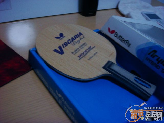 ղص95ͺױǩ