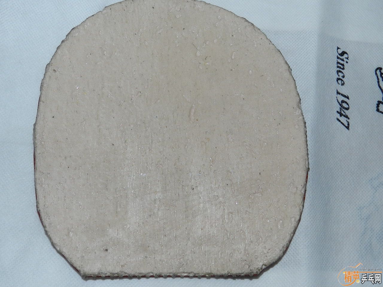 ϲ