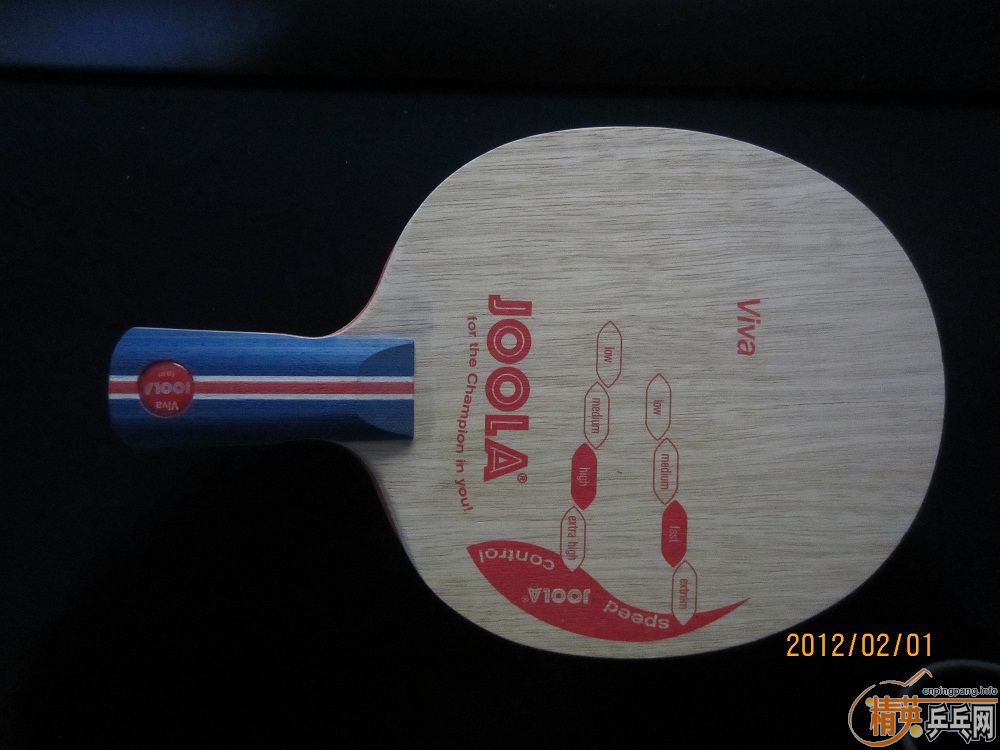 [ԭ��]ת��9.5����JOOLA ����VIVAֱ�徭���߲㻡Ȧ��180���ʣ�