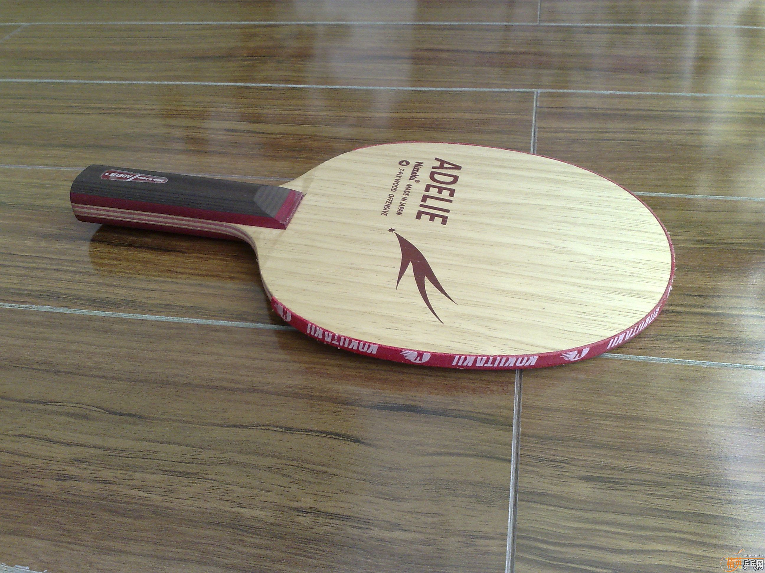 ���������9.8�£�����һ������