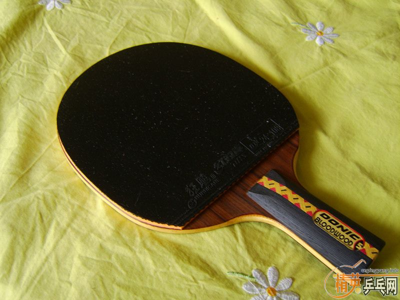 ����� bloodwood-5�����տ�3��ɫ40�ȡ��������������죩=550Ԫ���ɵ�����