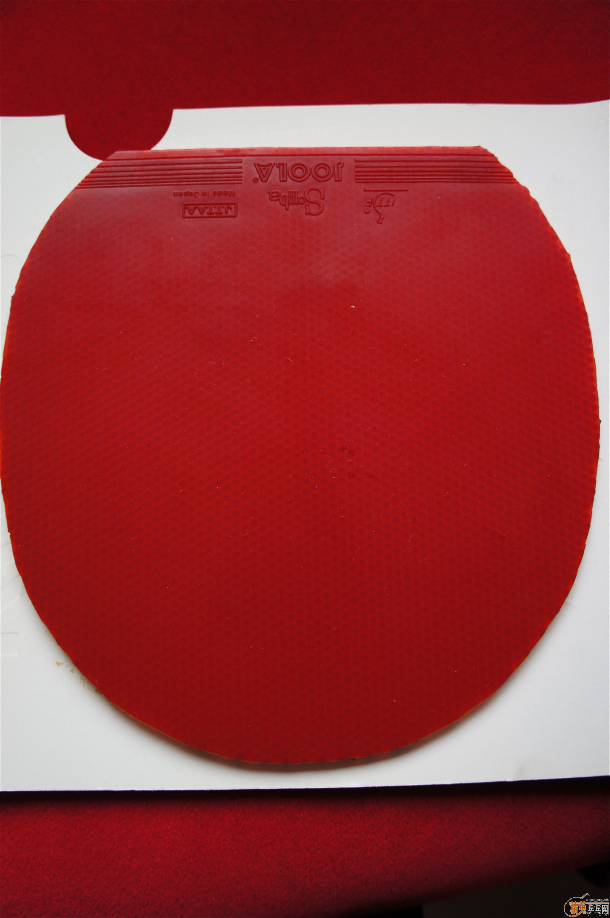 ���ѳ�һ��ѽ�Ƥ samba mendo  �����