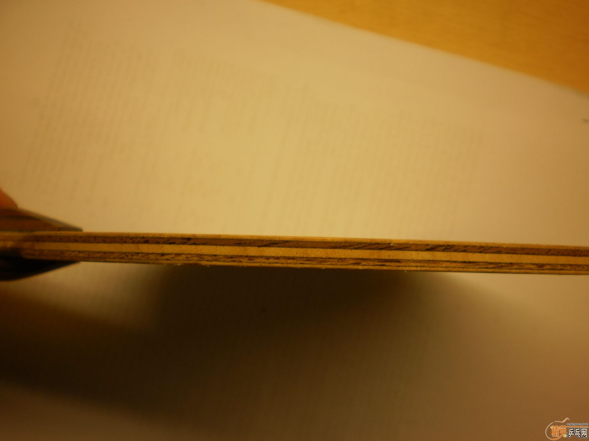 ��nittaku ����ŷ��yasaka����̼