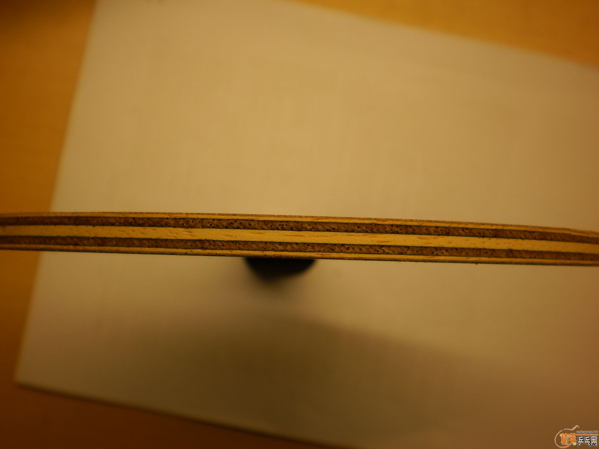 ��nittaku ����ŷ��yasaka����̼