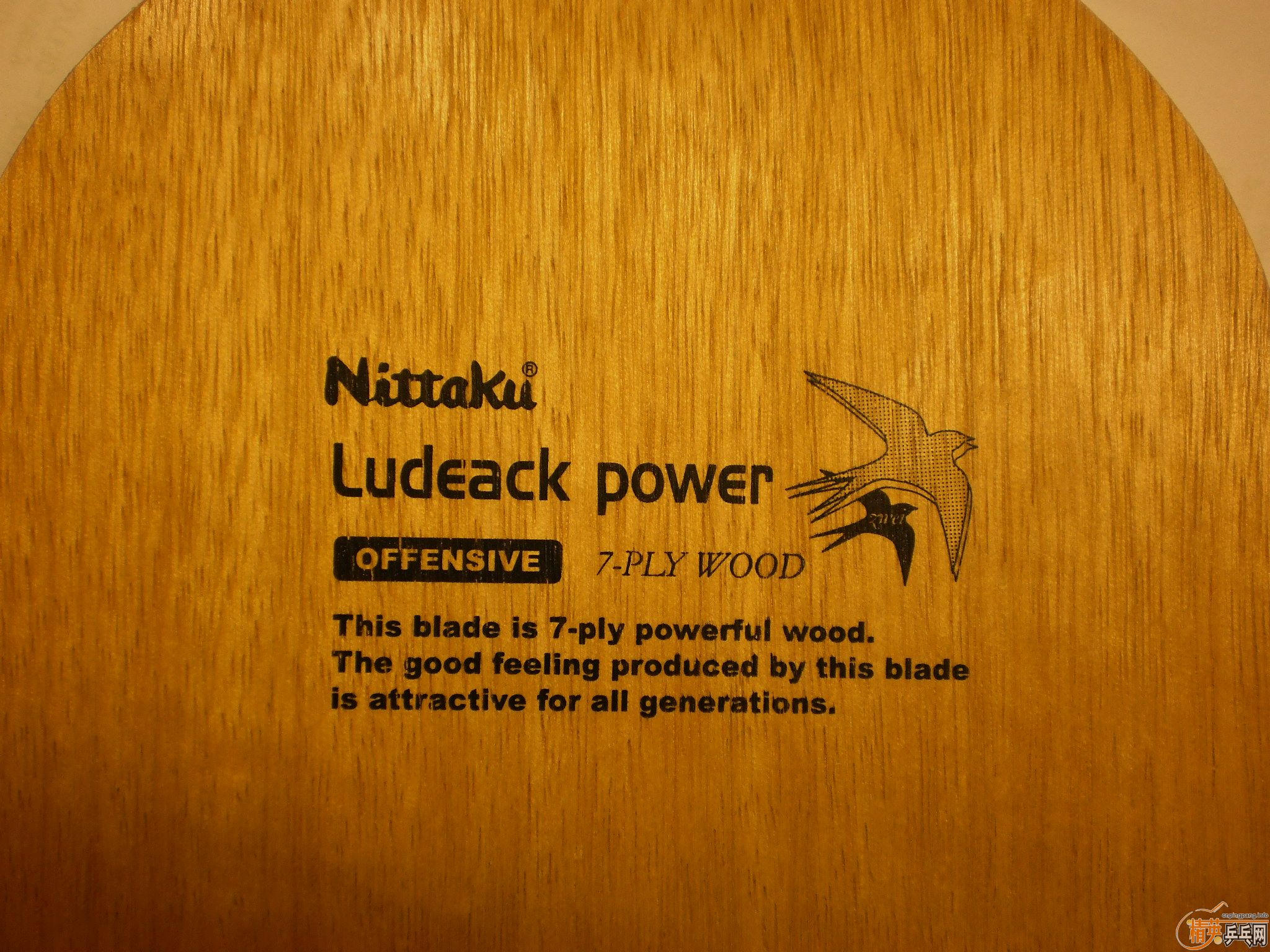 ��nittaku ����ŷ��yasaka����̼