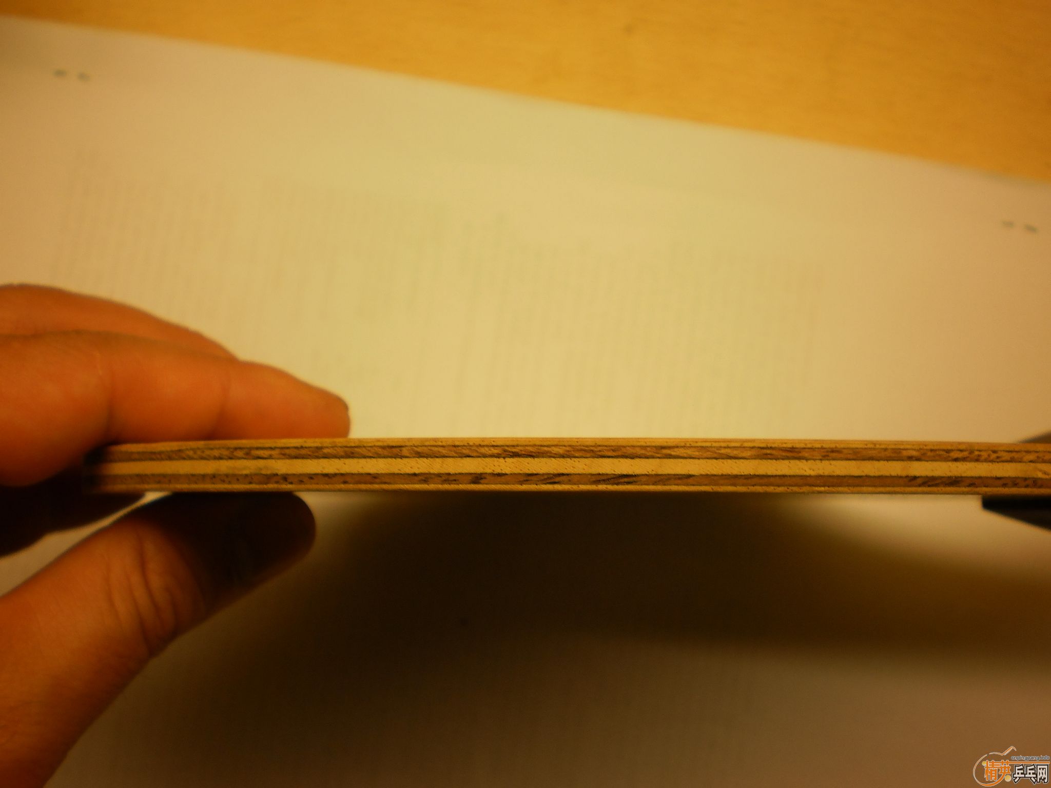 ��nittaku ����ŷ��yasaka����̼