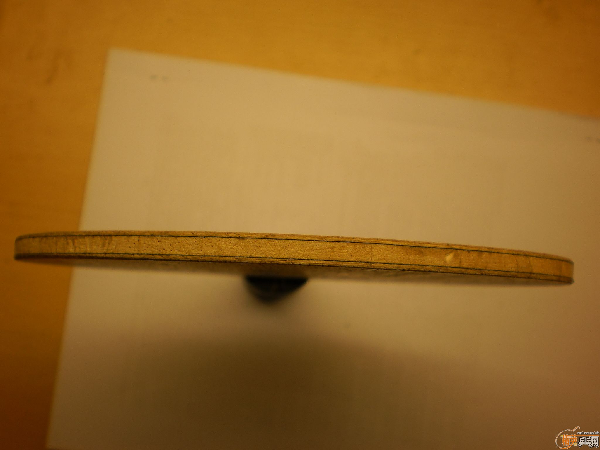 ��nittaku ����ŷ��yasaka����̼