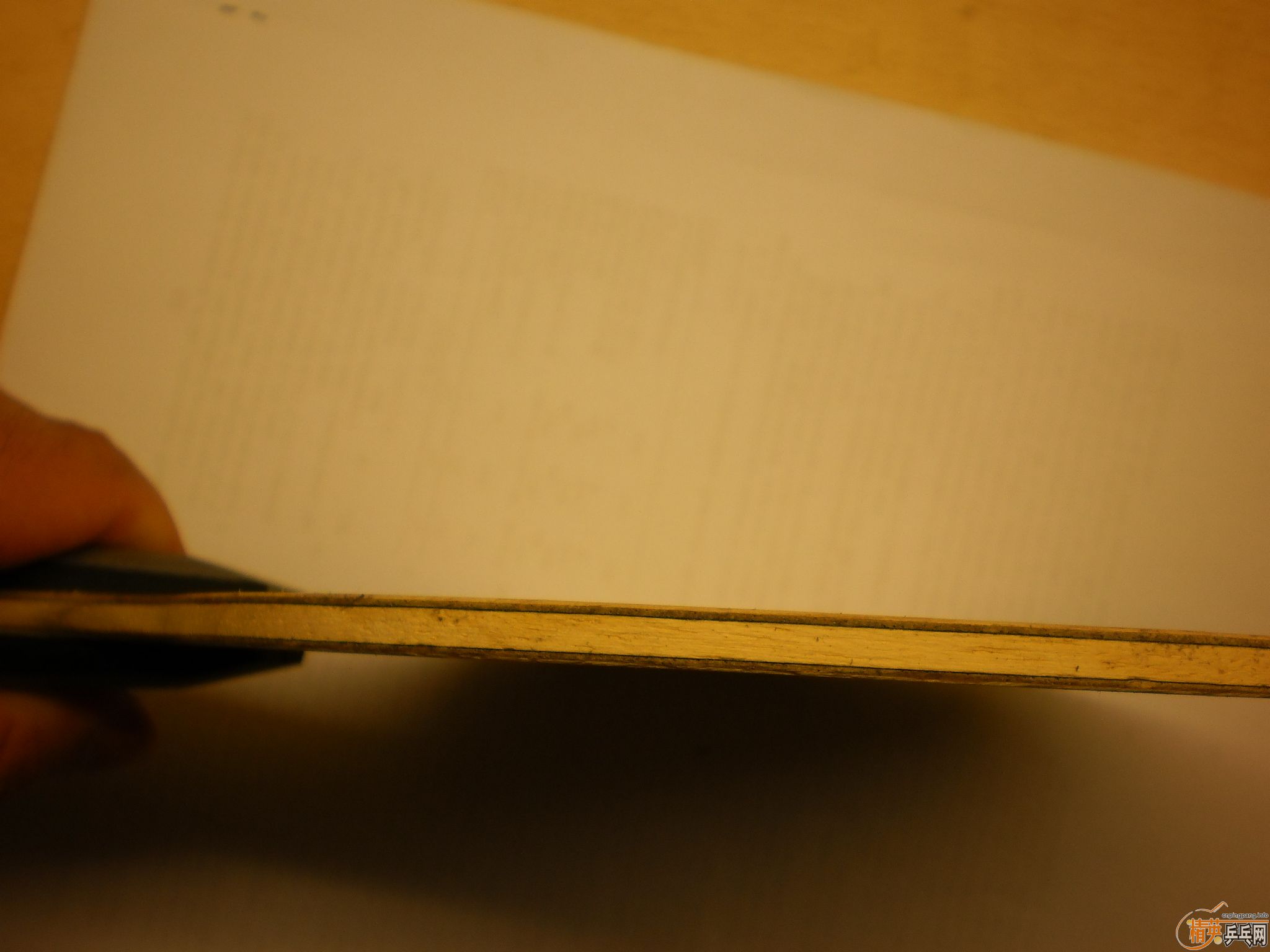 ��nittaku ����ŷ��yasaka����̼