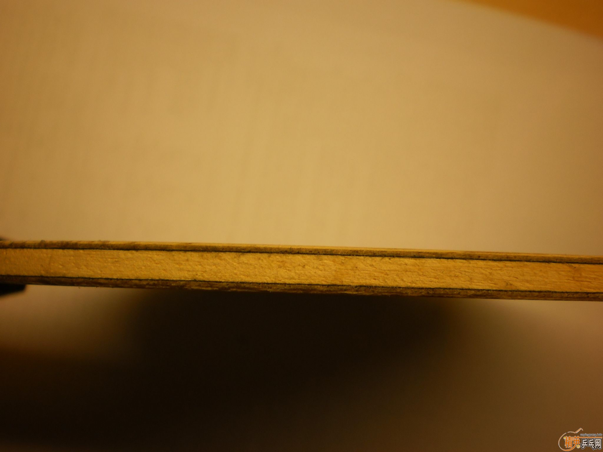 ��nittaku ����ŷ��yasaka����̼