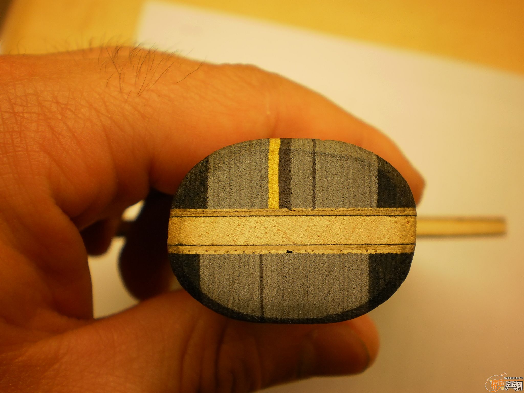 ��nittaku ����ŷ��yasaka����̼