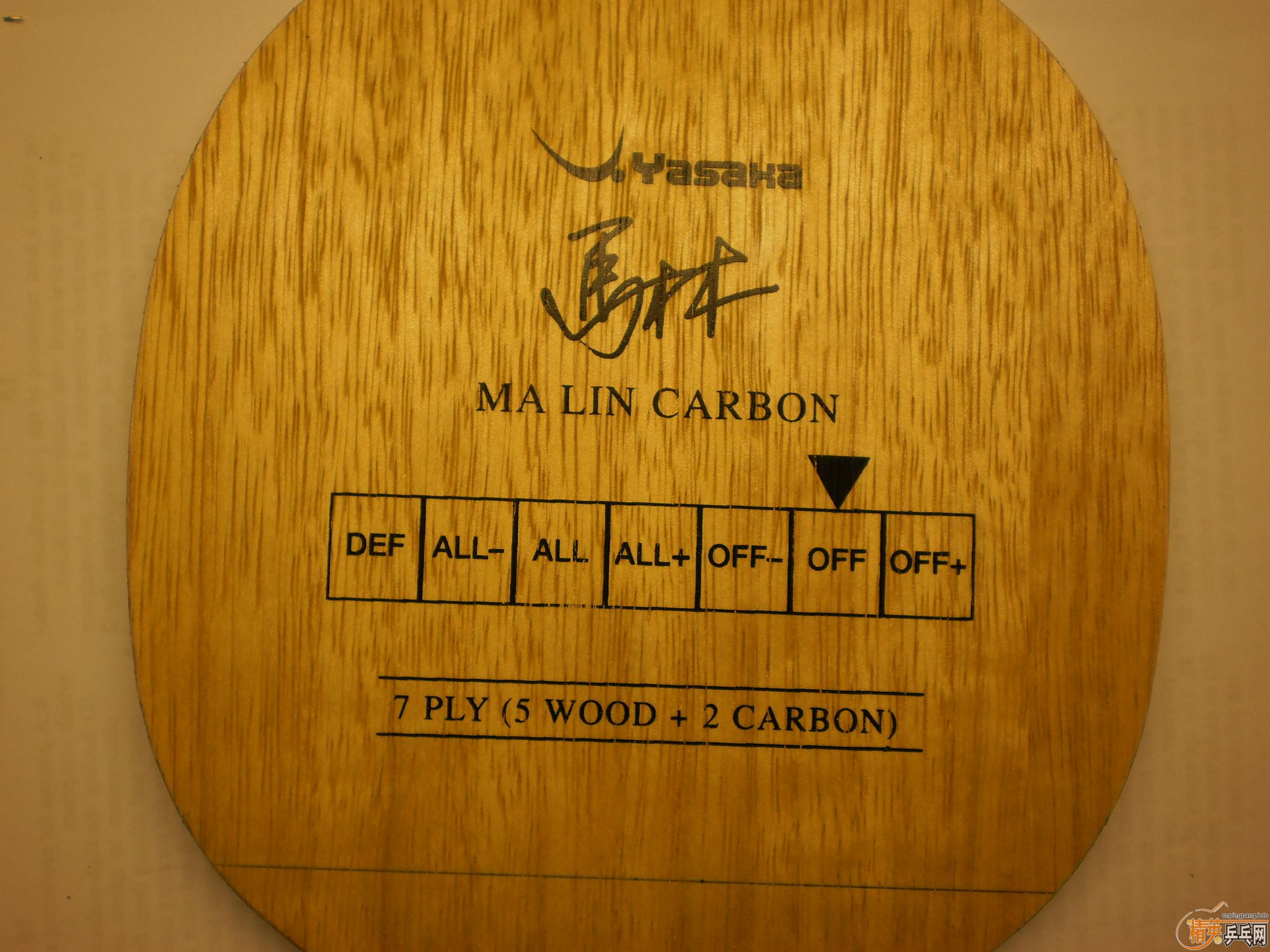 ��nittaku ����ŷ��yasaka����̼