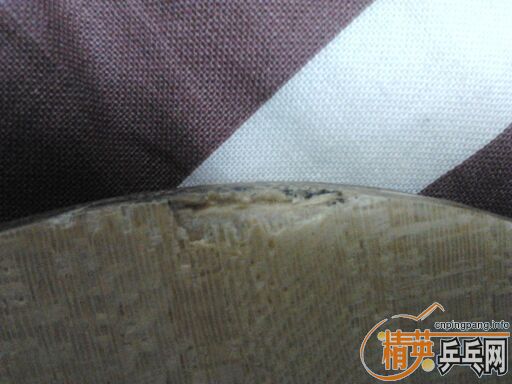 ��������R5