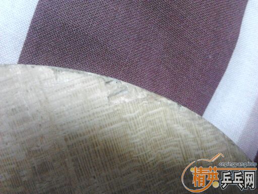 ��������R5