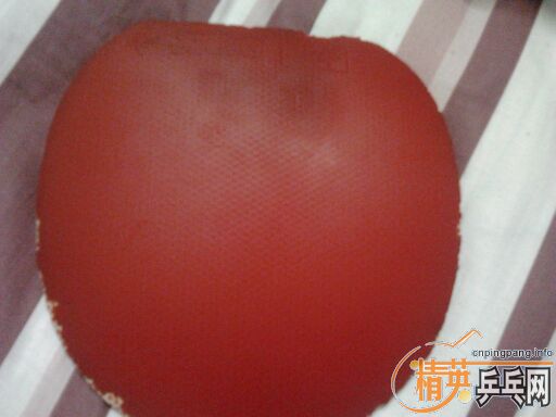 ��������R5