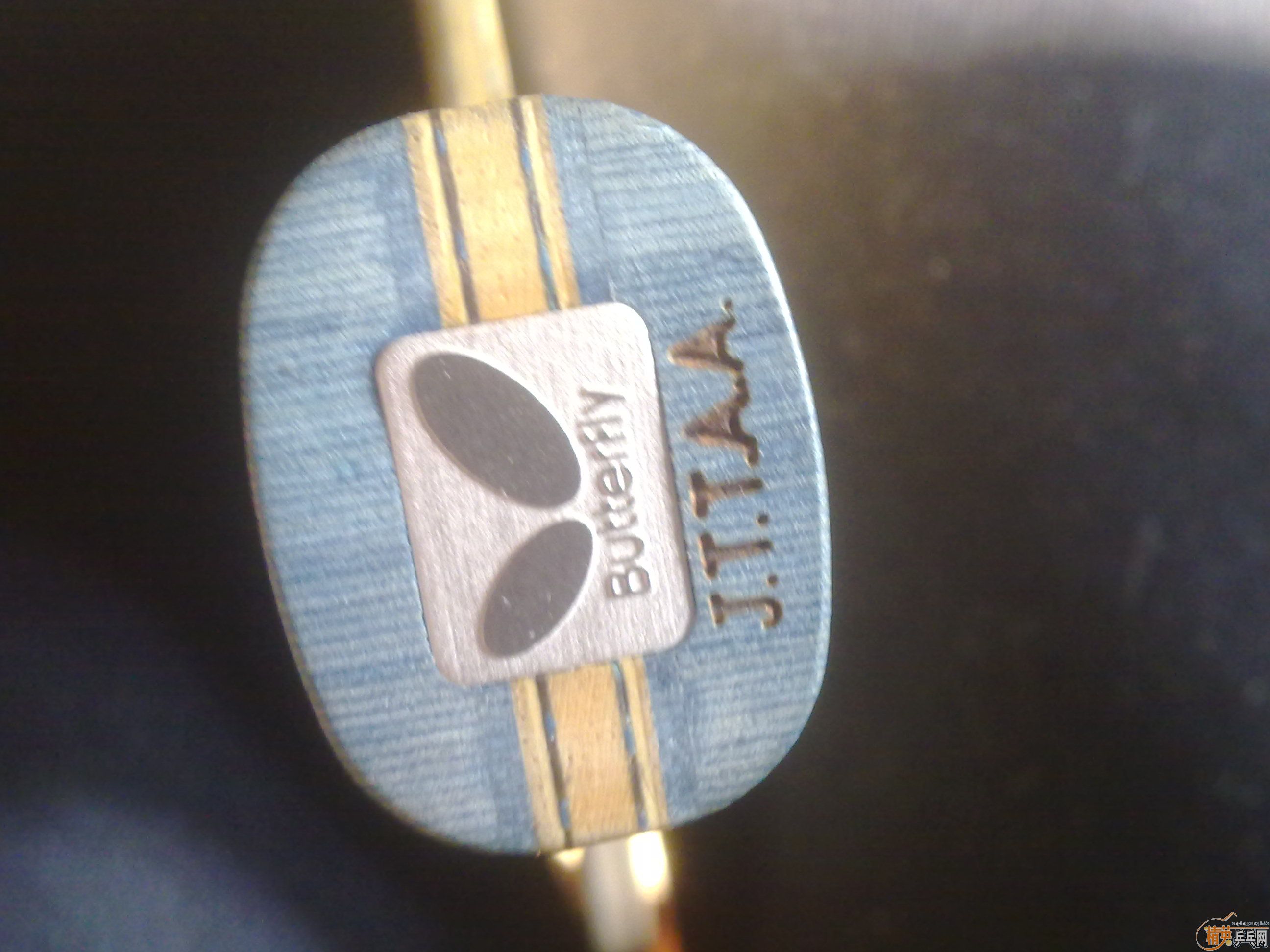 [��ͼ]��89��innerforce alcһ֧