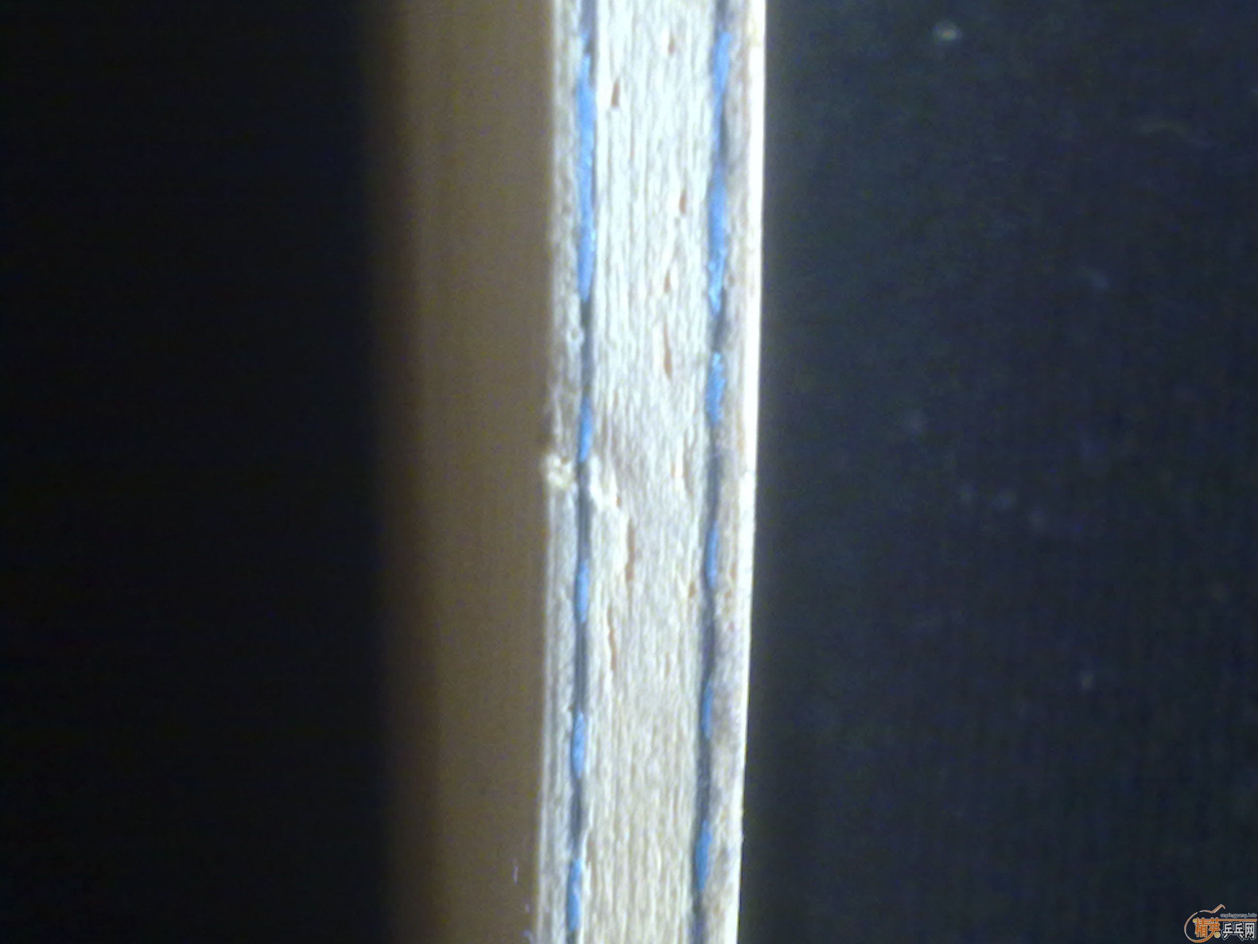 [��ͼ]��89��innerforce alcһ֧