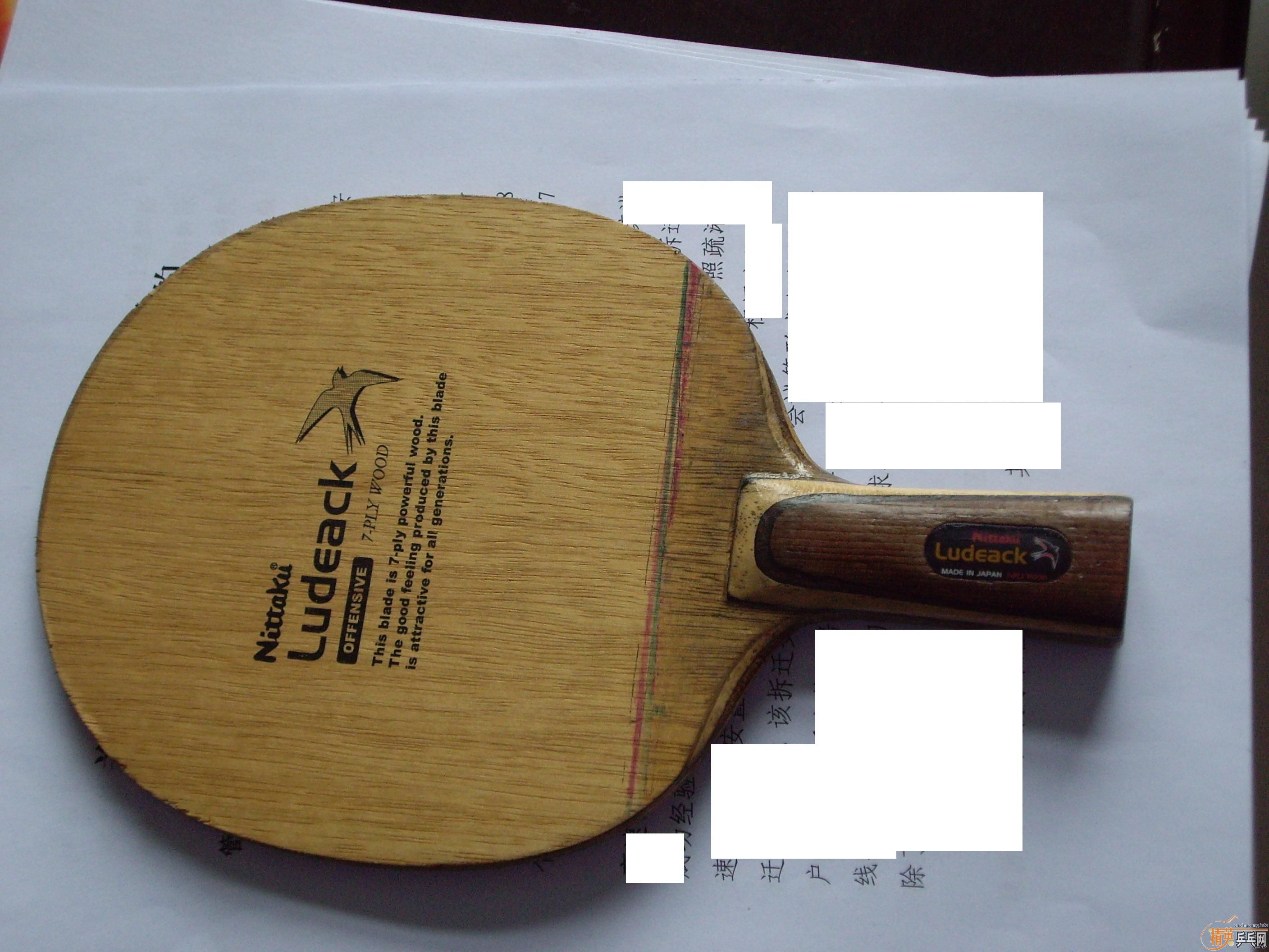 �ŷ�С��һֻ��ϣ����ϲ����