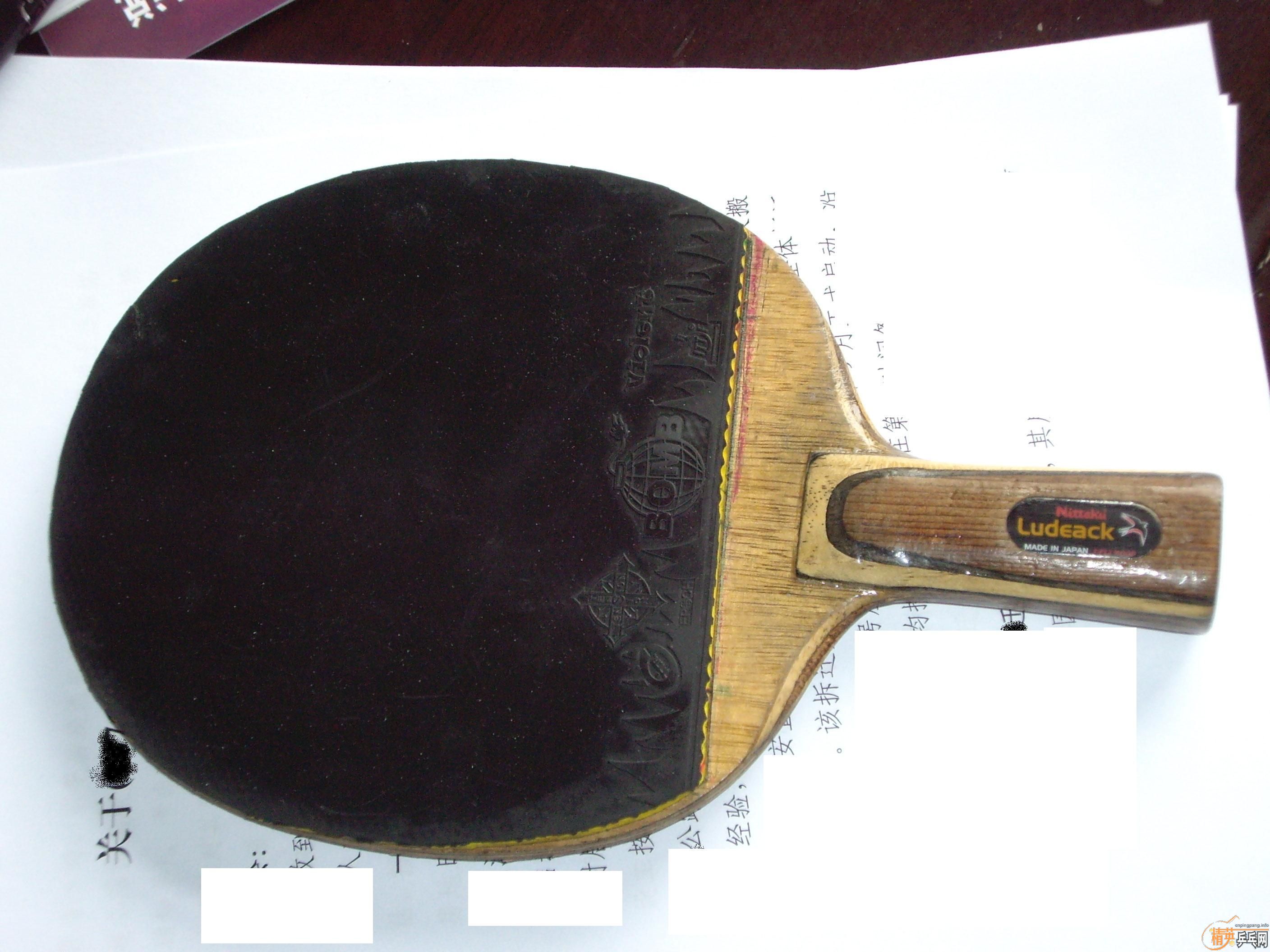 �ŷ�С��һֻ��ϣ����ϲ����