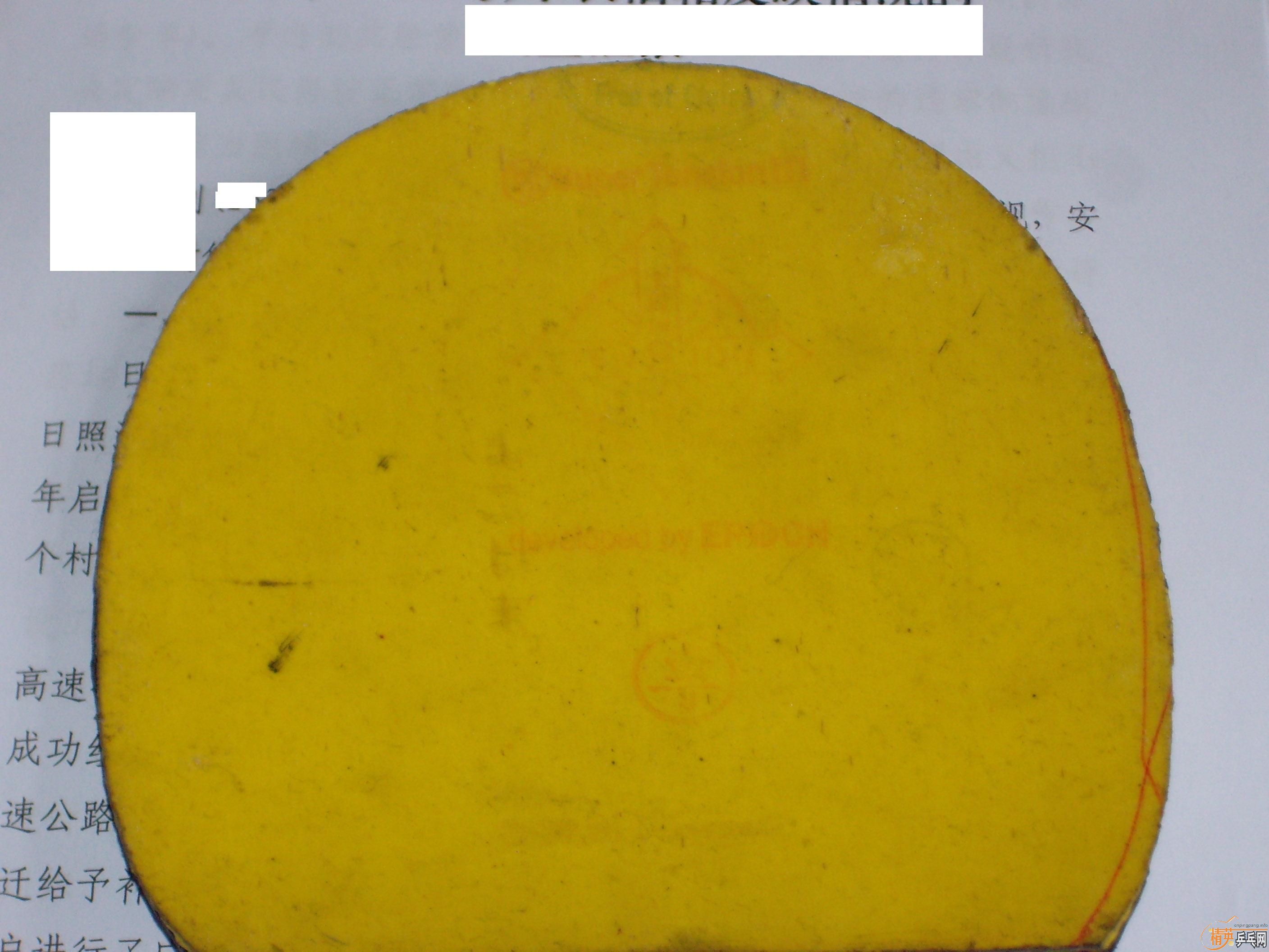 �ŷ�С��һֻ��ϣ����ϲ����