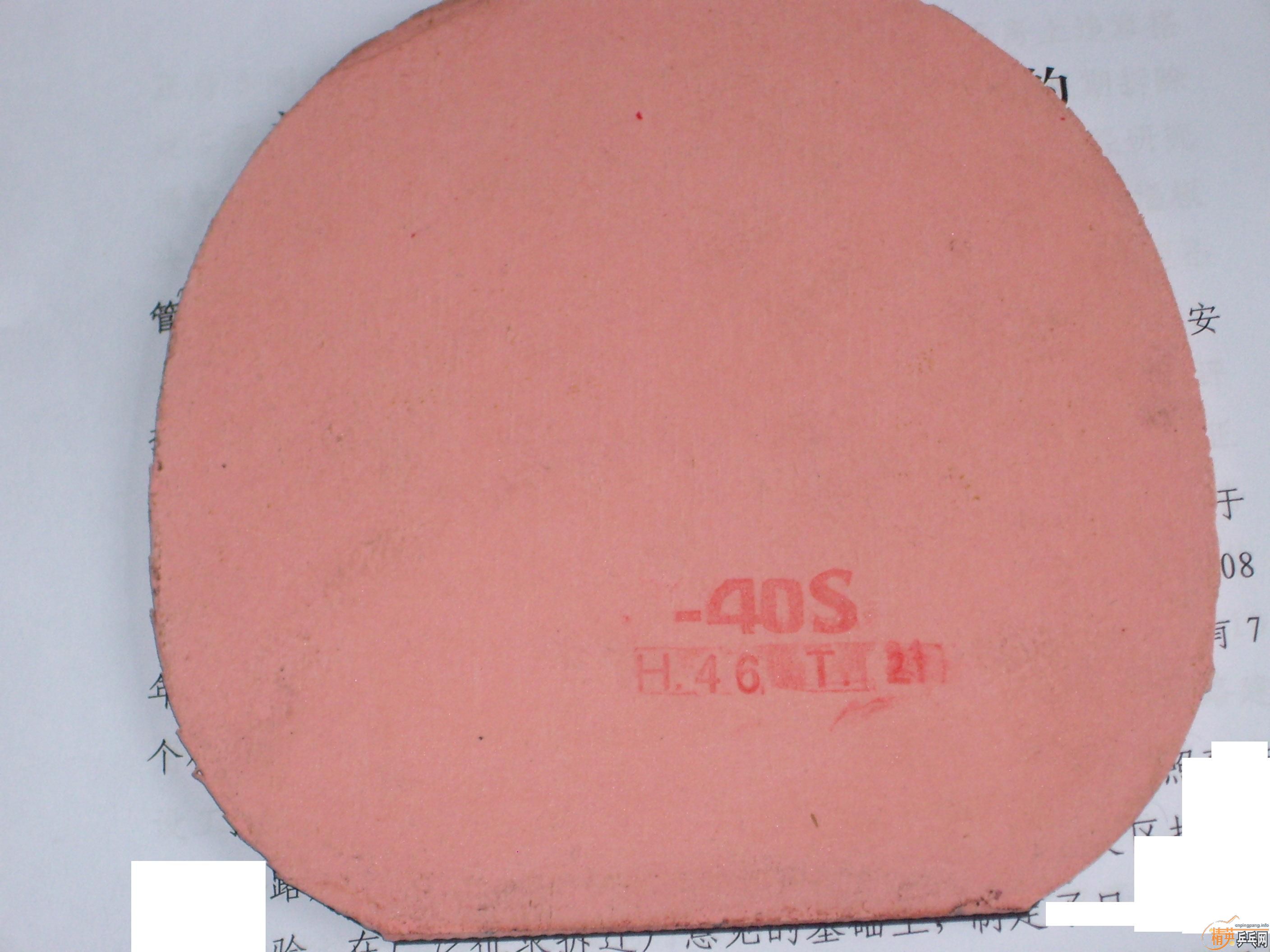 �ŷ�С��һֻ��ϣ����ϲ����