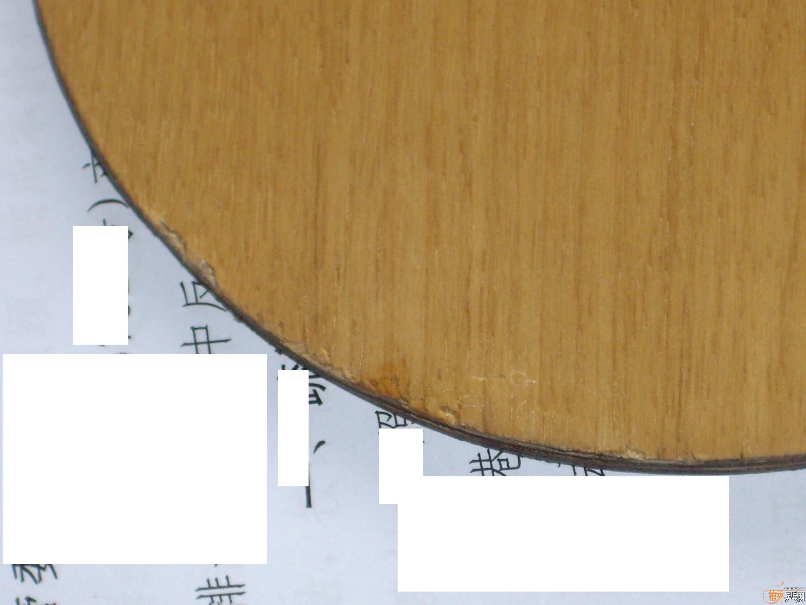 �ŷ�С��һֻ��ϣ����ϲ����