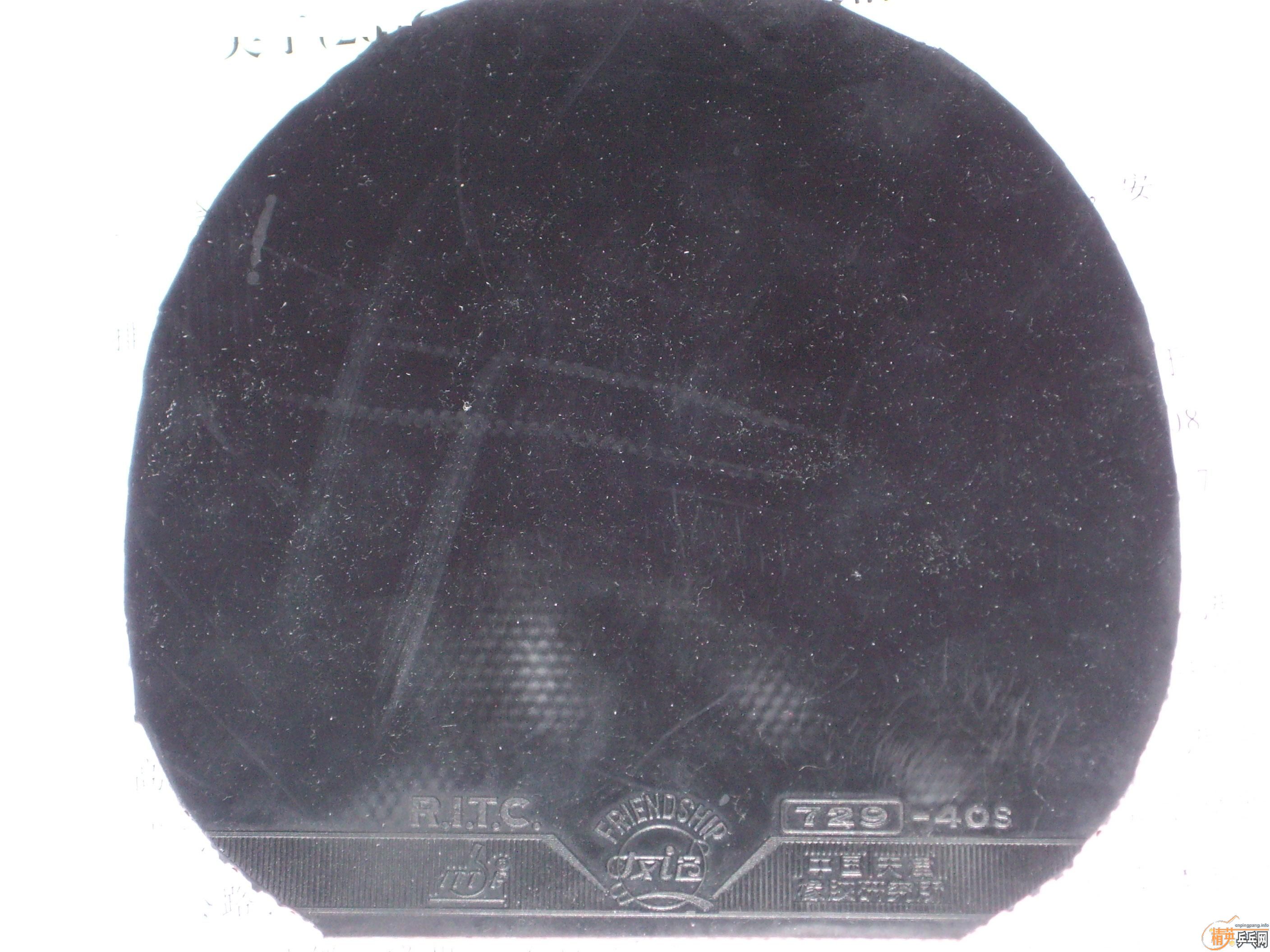 �ŷ�С��һֻ��ϣ����ϲ����