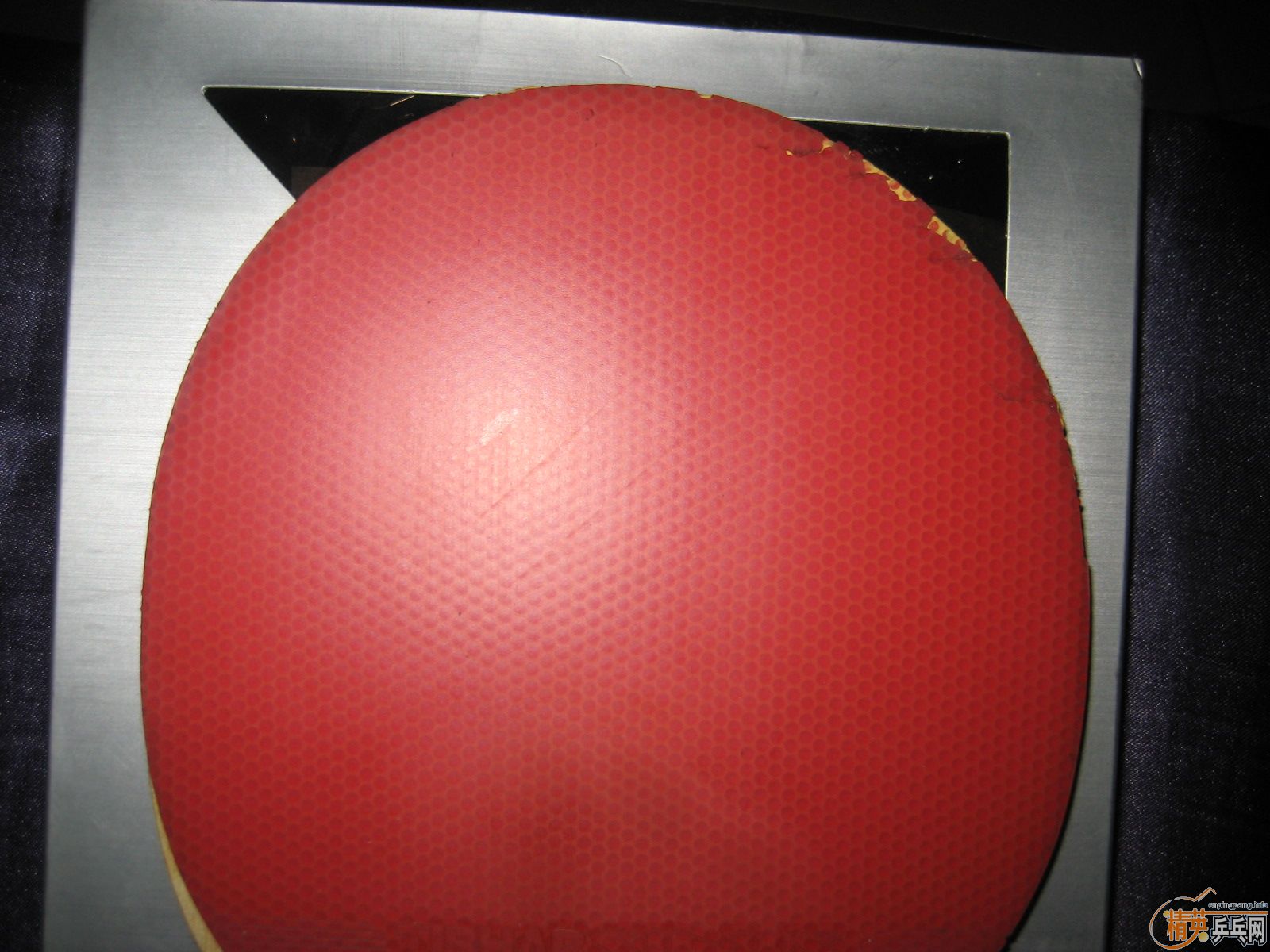 ʱ������ ������ ͦ��aurus�� sinus alpha