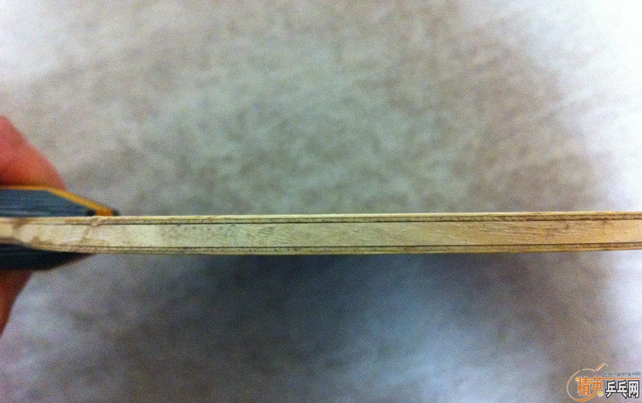 [�Ƽ�]���ղص�������������ľ������֧�������ף�